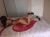Tahrik Edici Manavgat Side Escort Asu - Resim2