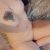 Seks Konusunda Öz Güveni Çok Yüksek Manavgat Escort Arzu - Resim3 Seks Konusunda Öz Güveni Çok Yüksek Manavgat Escort Arzu - Resim3