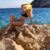 Seksi Ve Çekici Manavgat Side Escort Seda - Resim1