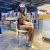Manavgat Siyahi Baştan Çukartan Escort Raman - Resim3