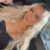 Manavgat Side Sevgili Tadında Vip Escort Neva - Resim1