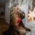Manavgat Side Aklınızı Başınızdan Alan Escort Yula - Resim3